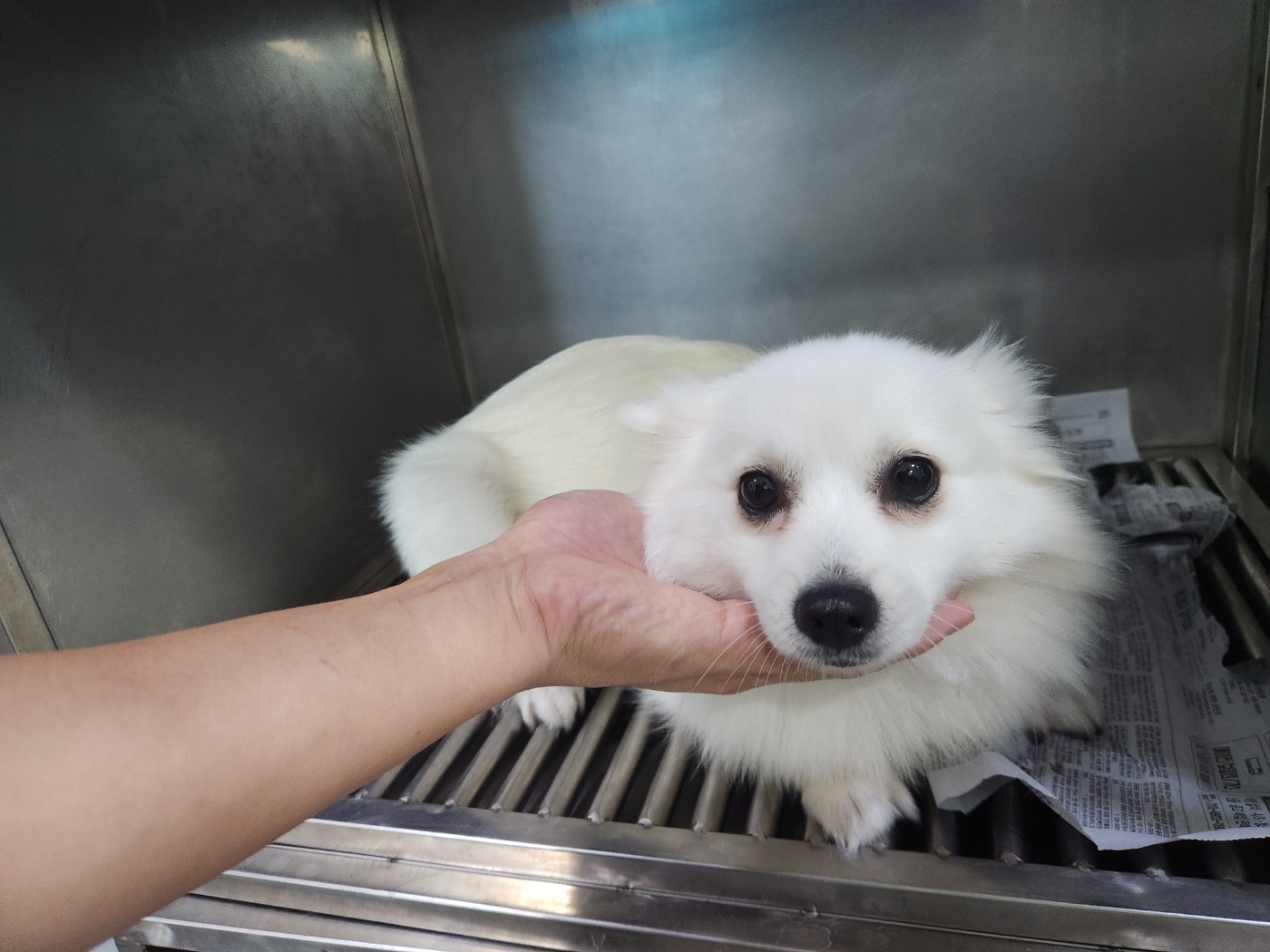 광주 동물보호소_429360202300676